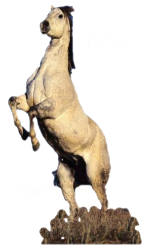 vadlo_734.png