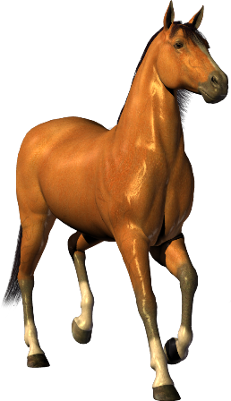 vadlo_775.png