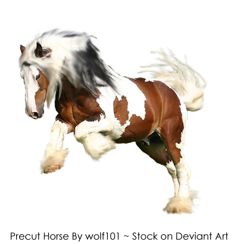 vadlo_823.png