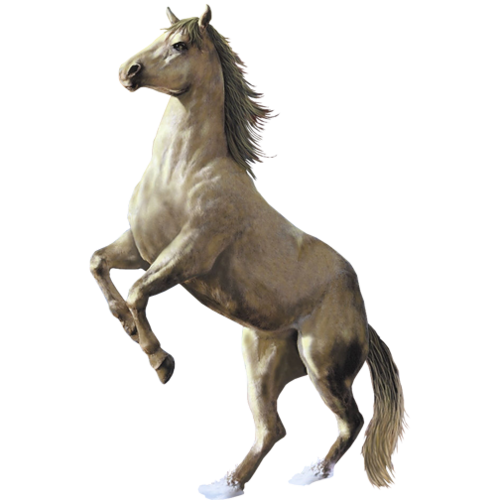 vadlo_825.png