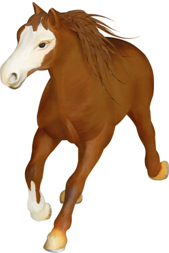 vadlo_83.png