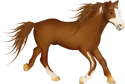 vadlo_84.png