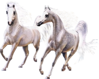 vadlo_894.png
