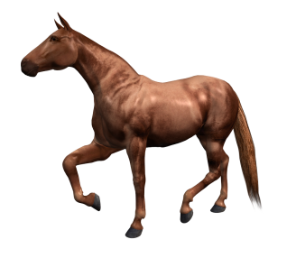 vadlo_90.png