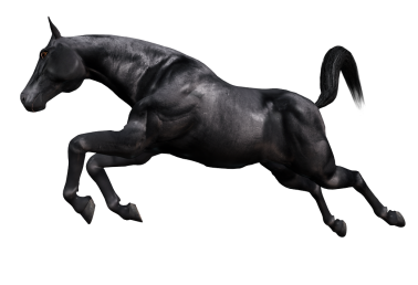 vadlo_93.png