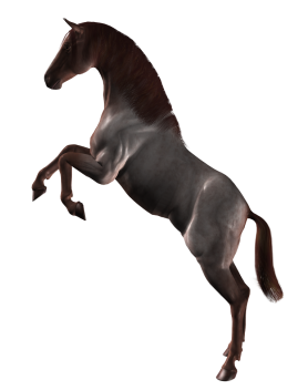 vadlo_98.png