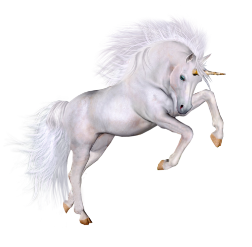 vadlo_992.png