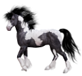 vadlo_1006