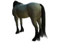 vadlo_116