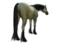 vadlo_117