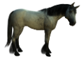 vadlo_118