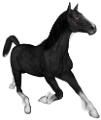 vadlo_127