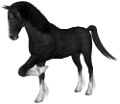 vadlo_128