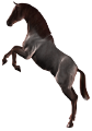 vadlo_143
