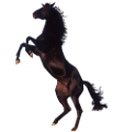 vadlo_145