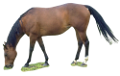 vadlo_149