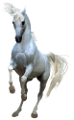 vadlo_159