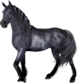 vadlo_16