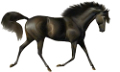 vadlo_162