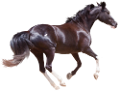 vadlo_165