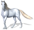 vadlo_177