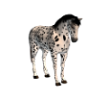 vadlo_228