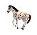 vadlo_229