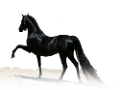 vadlo_27