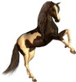vadlo_320
