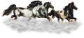vadlo_329
