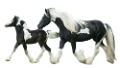 vadlo_380