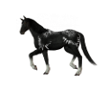 vadlo_426