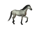 vadlo_430