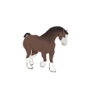 vadlo_519