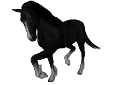 vadlo_630