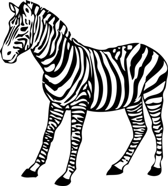 zebra_12.png