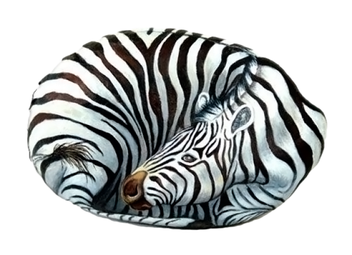zebra_16.png