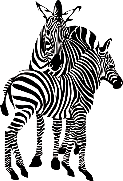 zebra_8.png