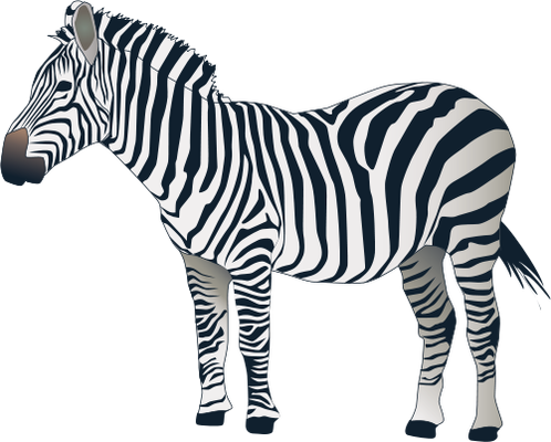 zebra_9.png