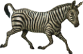 zebra_36