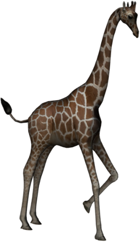 zsiraf_16.png