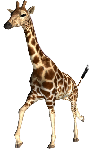 zsiraf_24.png