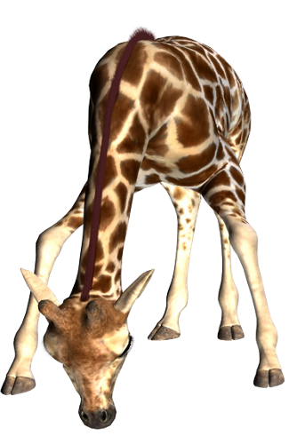zsiraf_25.png