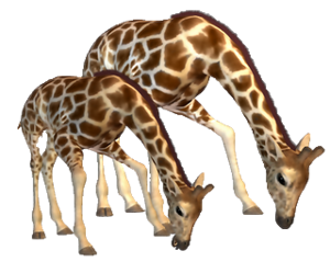 zsiraf_3.png
