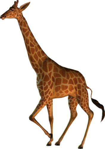 zsiraf_32.png