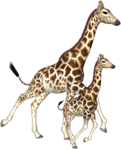 zsiraf_68.png
