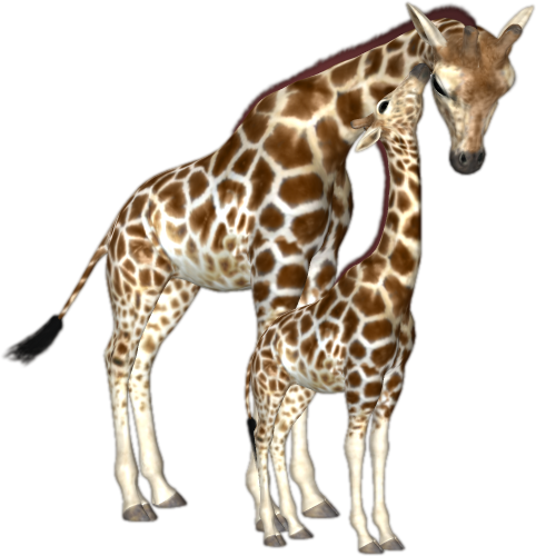zsiraf_69.png