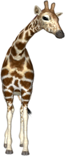 zsiraf_70.png