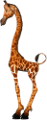 zsiraf_63