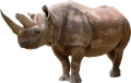 ORRSZARVÚ
